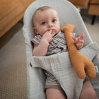 Trixie Rattle Giraffe Babbling Birds