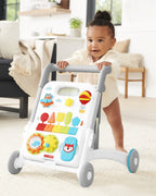 Skip Hop Explore & More Grow Along 4-in-1 Activity Walker