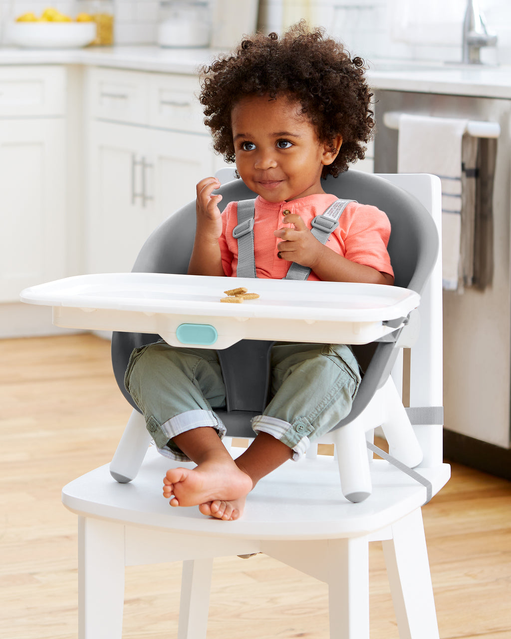 Skip Hop 4 in 1 Highchair