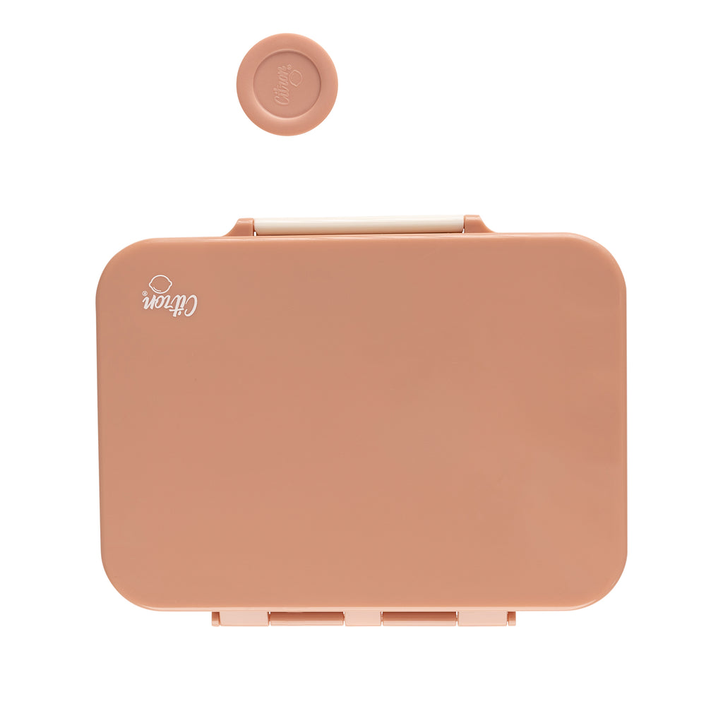 Citron Blush Pink Tritan Bento Lunchbox