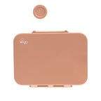 Citron Blush Pink Tritan Bento Lunchbox