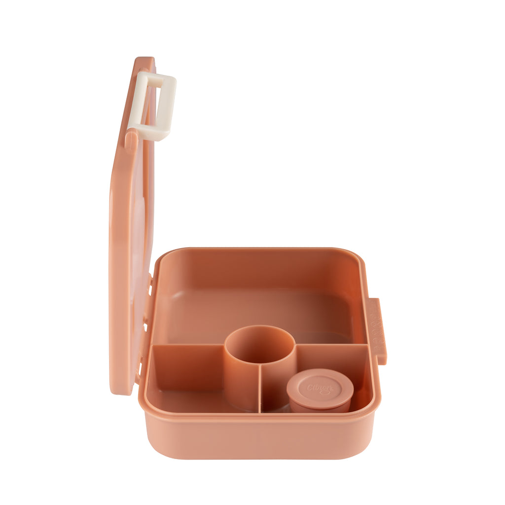 Citron Blush Pink Tritan Bento Lunchbox