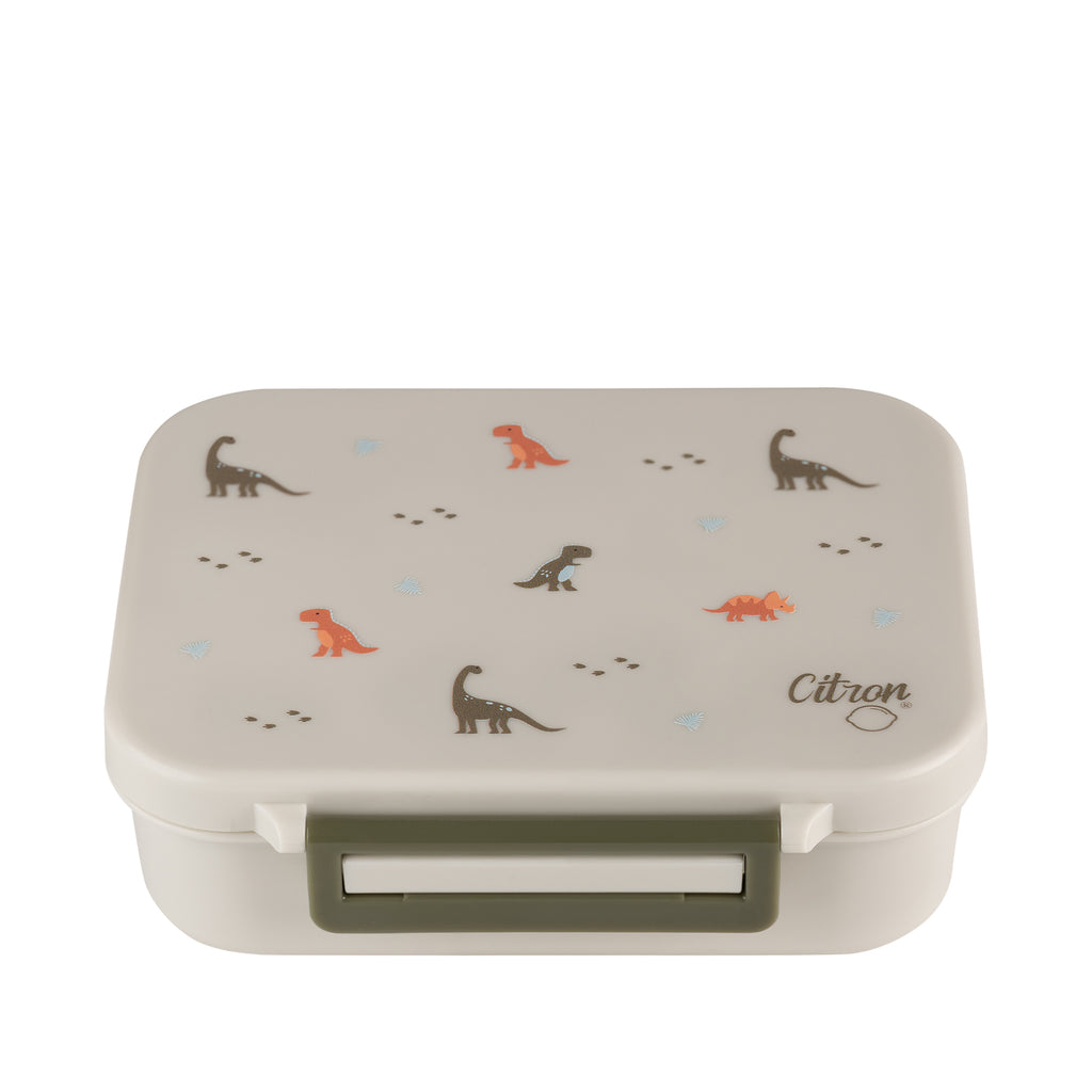 Citron Dino Tritan Snack Box