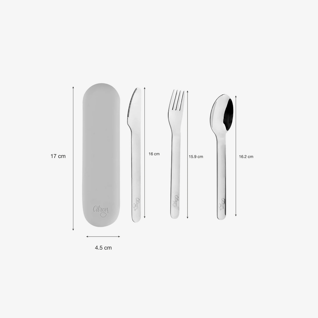 Citron Stainless Steel Brick Cutlery Set with Case