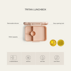 Citron Dino Tritan Bento Lunchbox