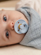 BIBS Pacifiers Colour 2 Pack