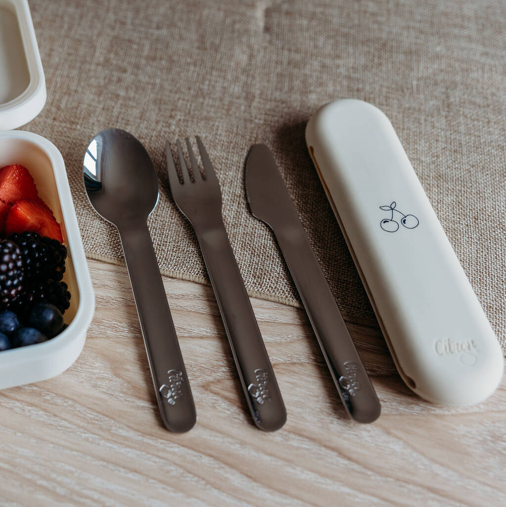 Citron Stainless Steel Brick Cutlery Set with Case