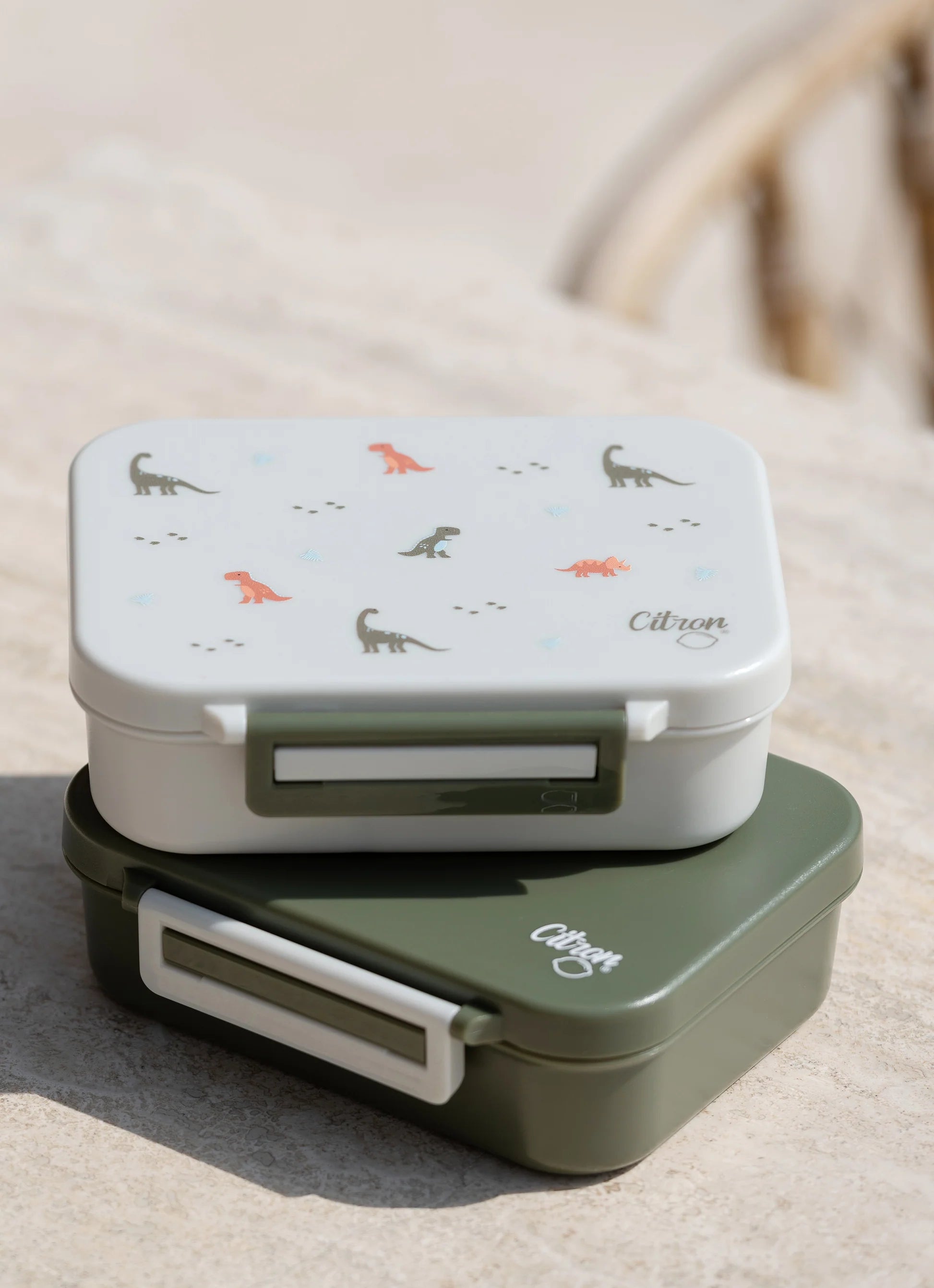 Citron Dino Tritan Snack Box