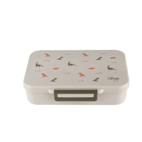 Dino Tritan Lunchbox