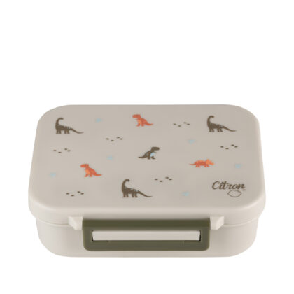 Citron Dino Tritan Snack Box