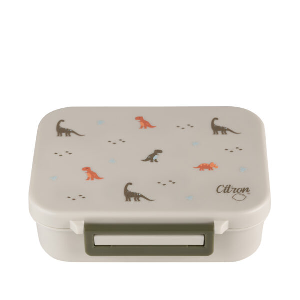 Dino Tritan Snack Box