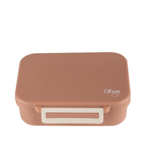 Blush Pink Tritan Snack Box