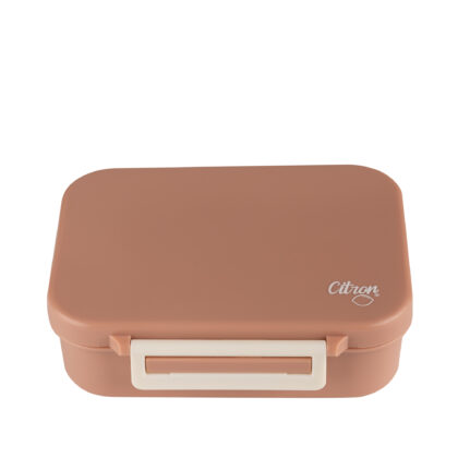 Citron Blush Pink Tritan Snack Box