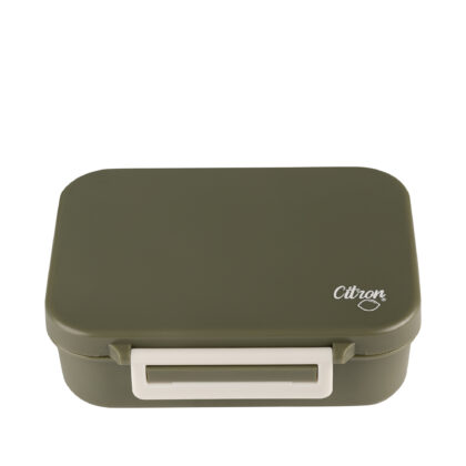 Citron Olive Green Tritan Snack Box