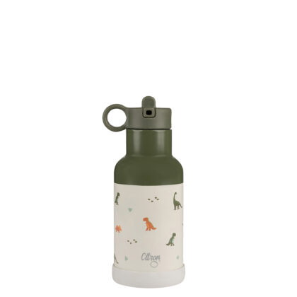 Citron Dino Water Bottle 350ml