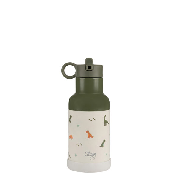 Dino Water Bottle 350ml