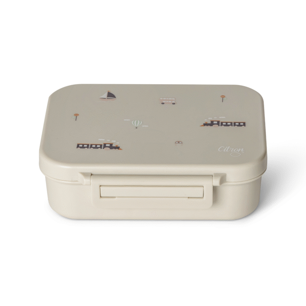 Vehicle Tritan Snack Box
